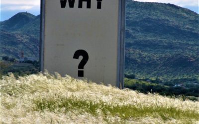 Here’s why vendors have to sell partners on the “Why”