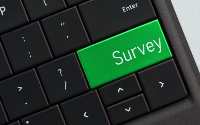 Why You Should Survey Your Channel Partners
